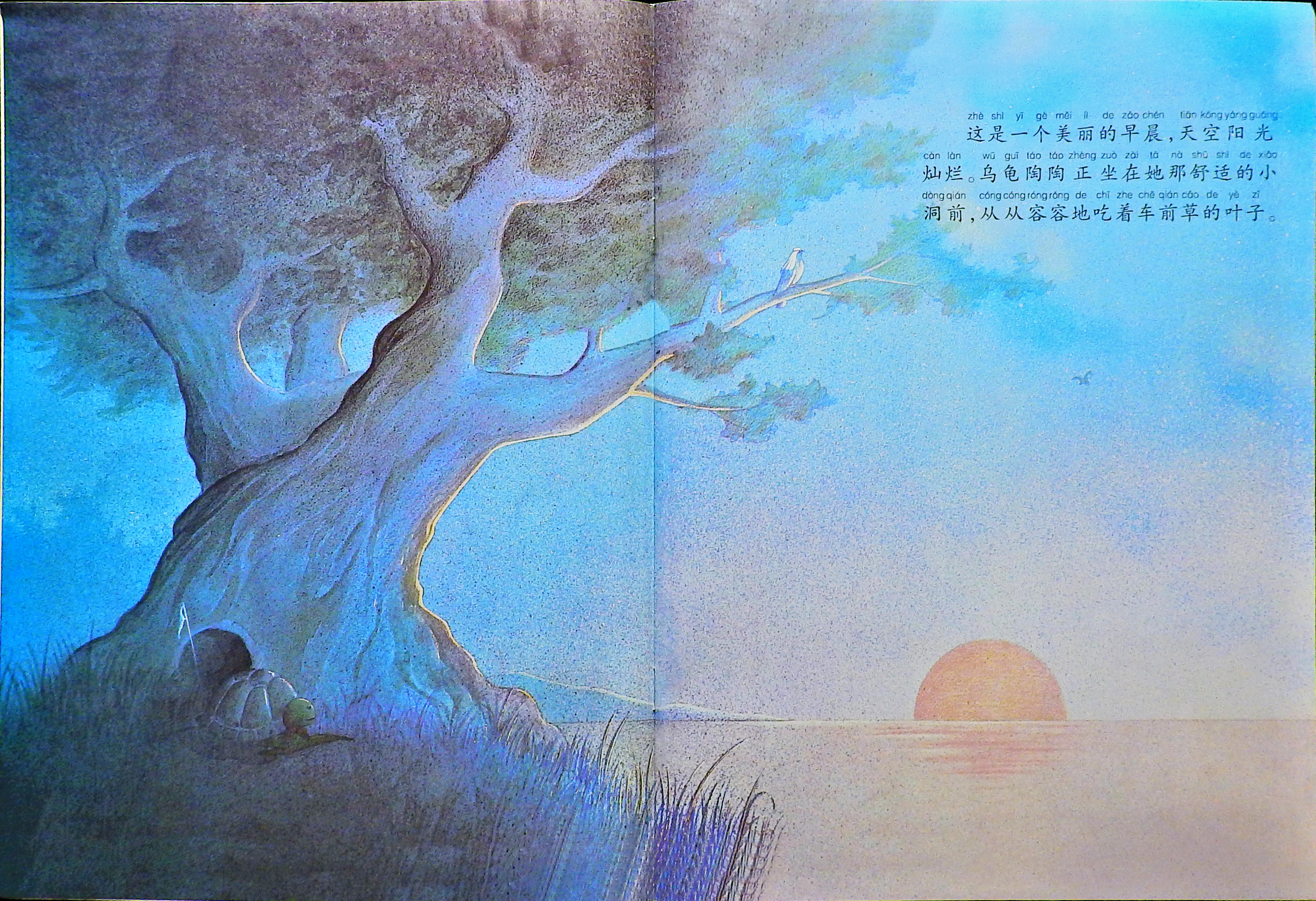 犟龟 (03),绘本,绘本故事,绘本阅读,故事书,童书,图画书,课外阅读